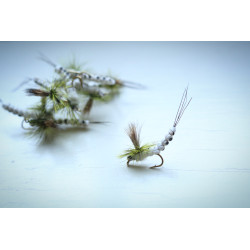 Mohican Mayfly