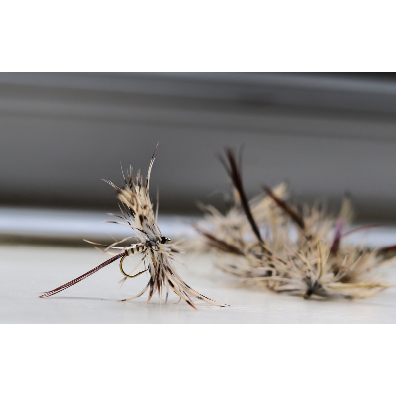 French Partridge Mayfly