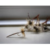 Spent Mayfly