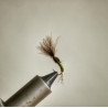 Olive emerger