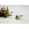 Mayfly nymph