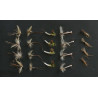 Mayfly Selection
